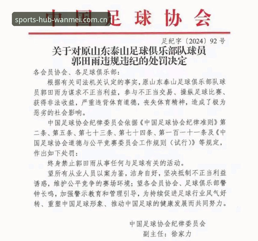 完美体育官方地址安装失败 中国足协第三批禁足名单详解:17人终身禁赛背后的行业变革信号